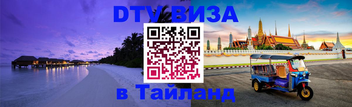 Оформление DTV визы под ключ: стоимость и тарифы, только загранпаспорт - 