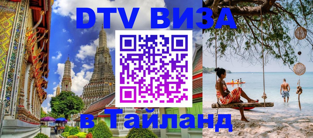 Сколько стоит DTV виза — актуальные цены, оформление даже без документов - Тамбов 